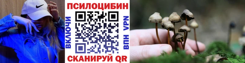 как найти   Старый Оскол  Галлюциногенные грибы Cubensis 